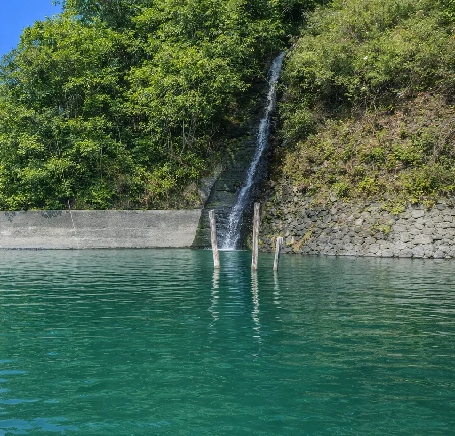 相模湖揚沢ワンドの様子