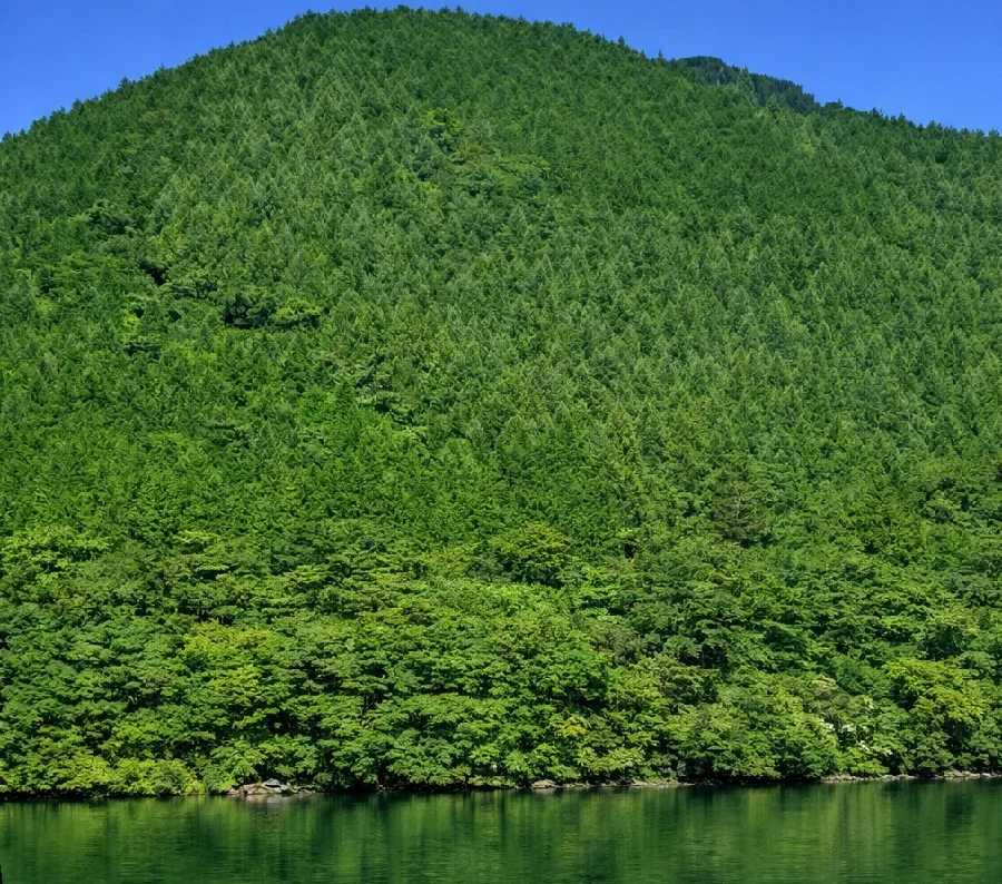 芦ノ湖立岩