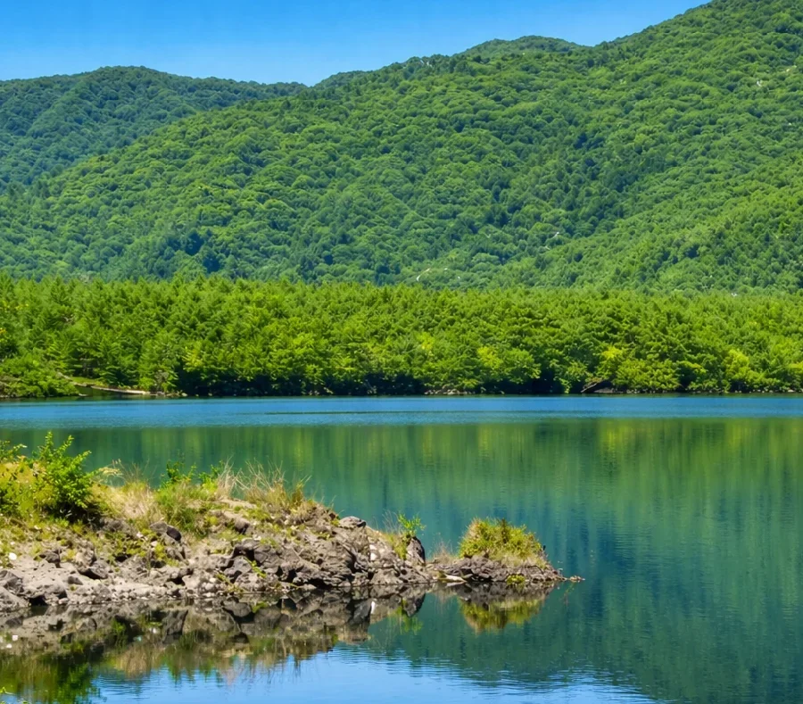 西湖長崎