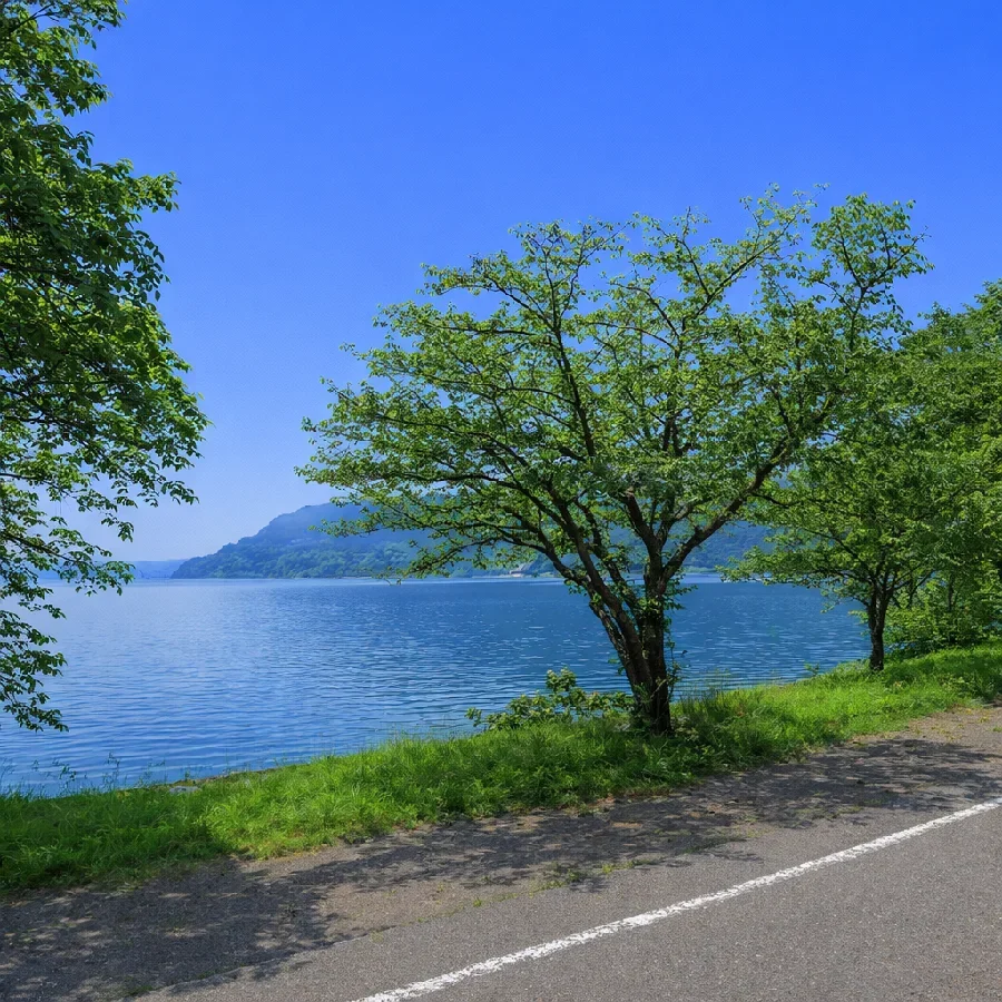 琵琶湖湖魚供養燈前の様子