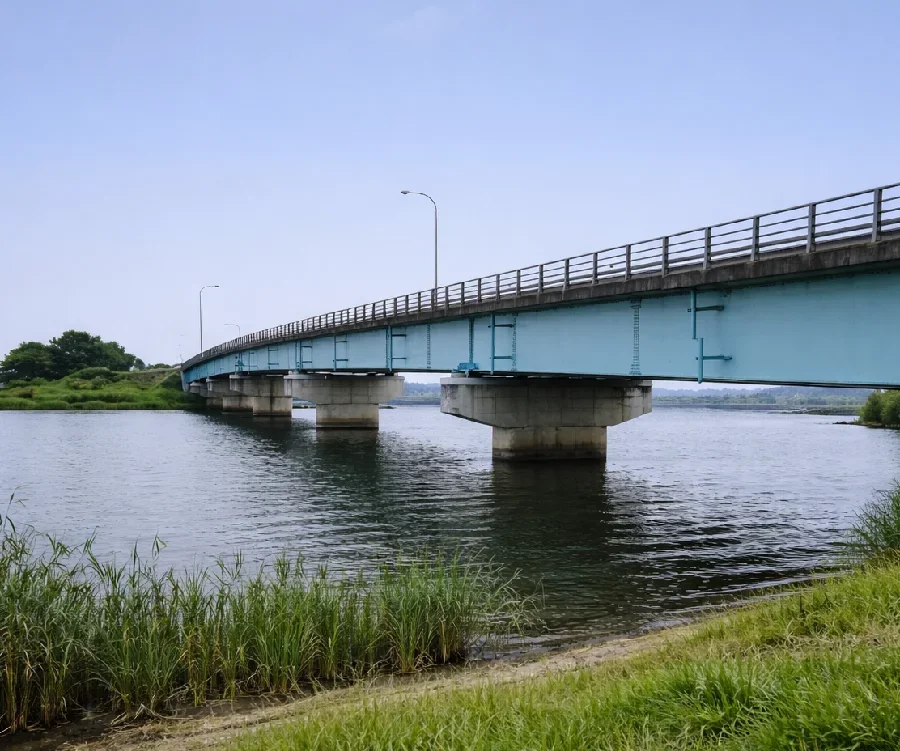 琵琶湖野洲川河口