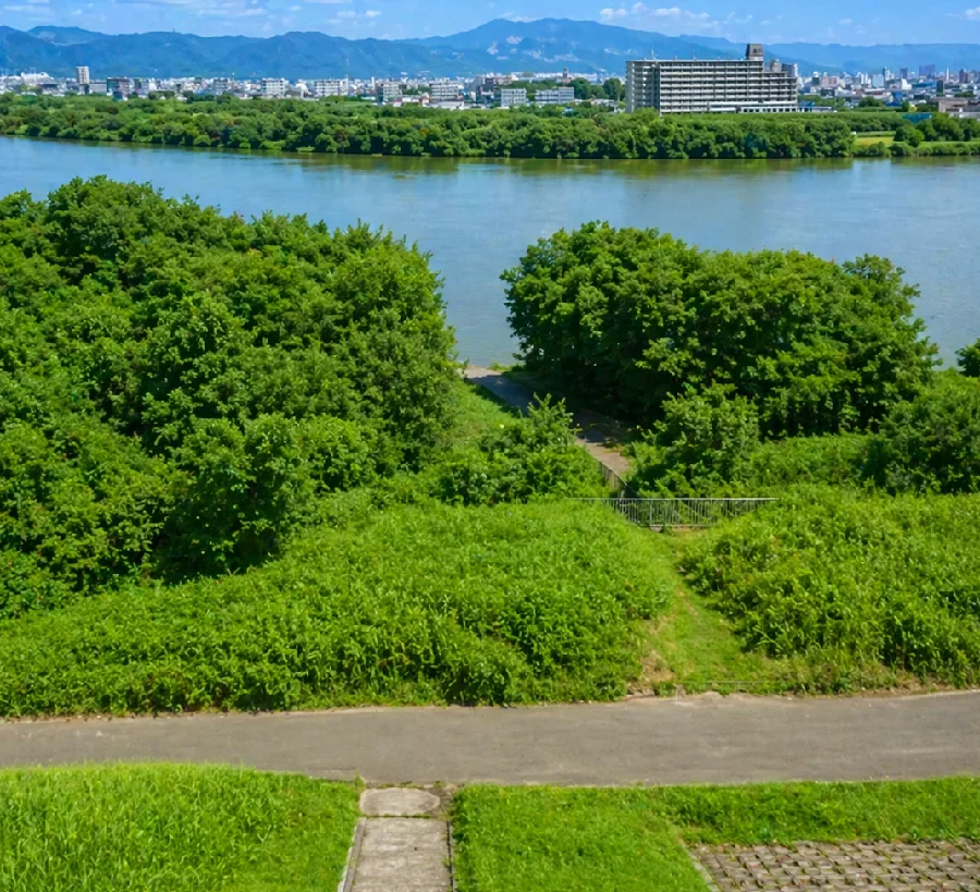 淀川オカムラワンド