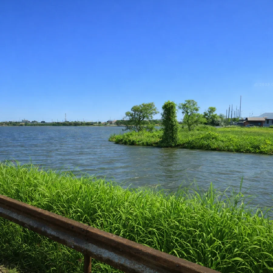 与田浦八筋川流入部
