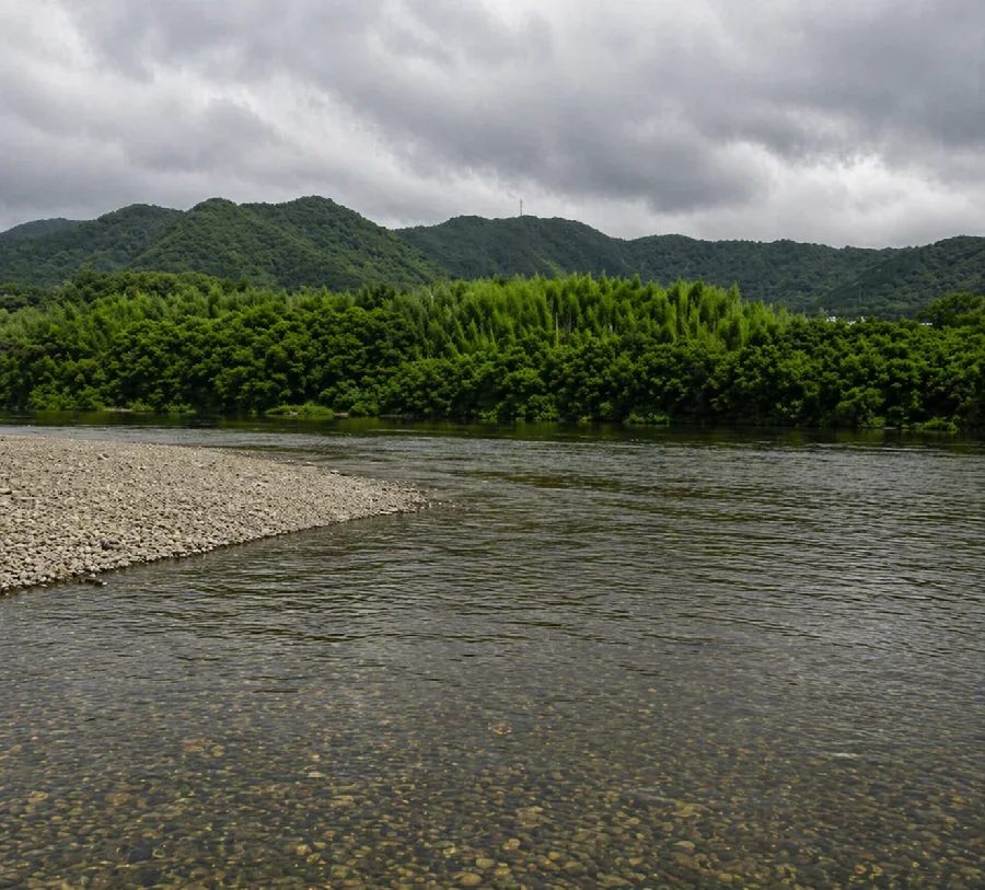 千鳥橋付近の長良川