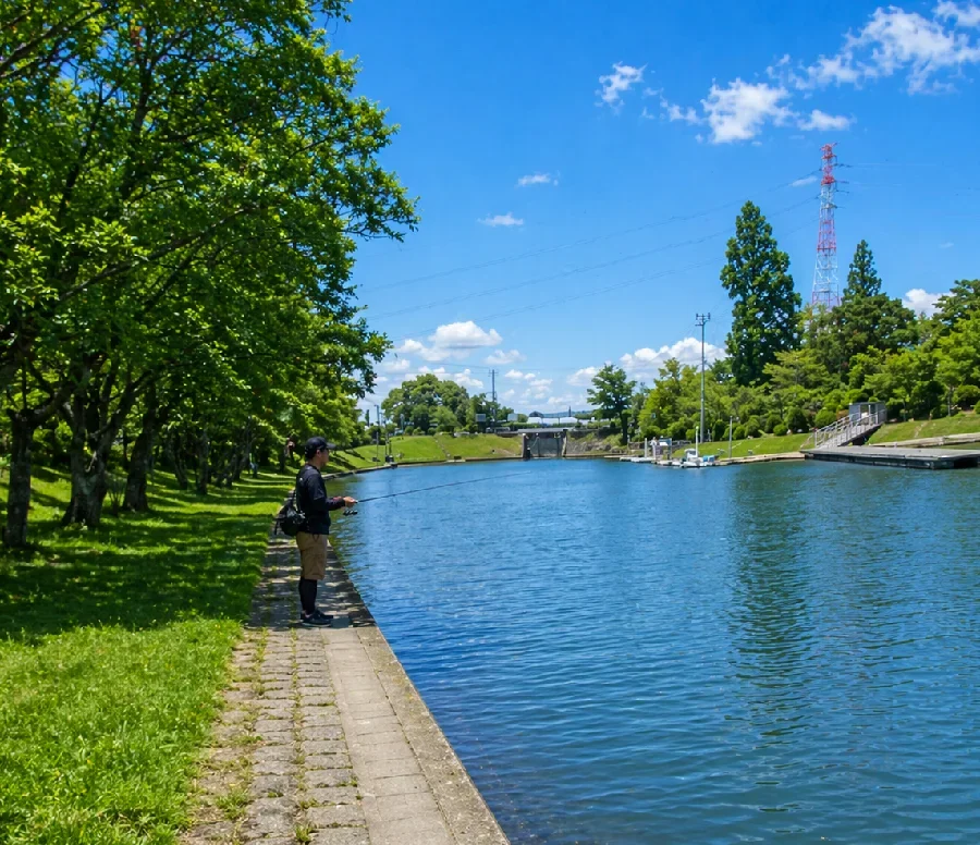 船頭平河川公園付近の長良川