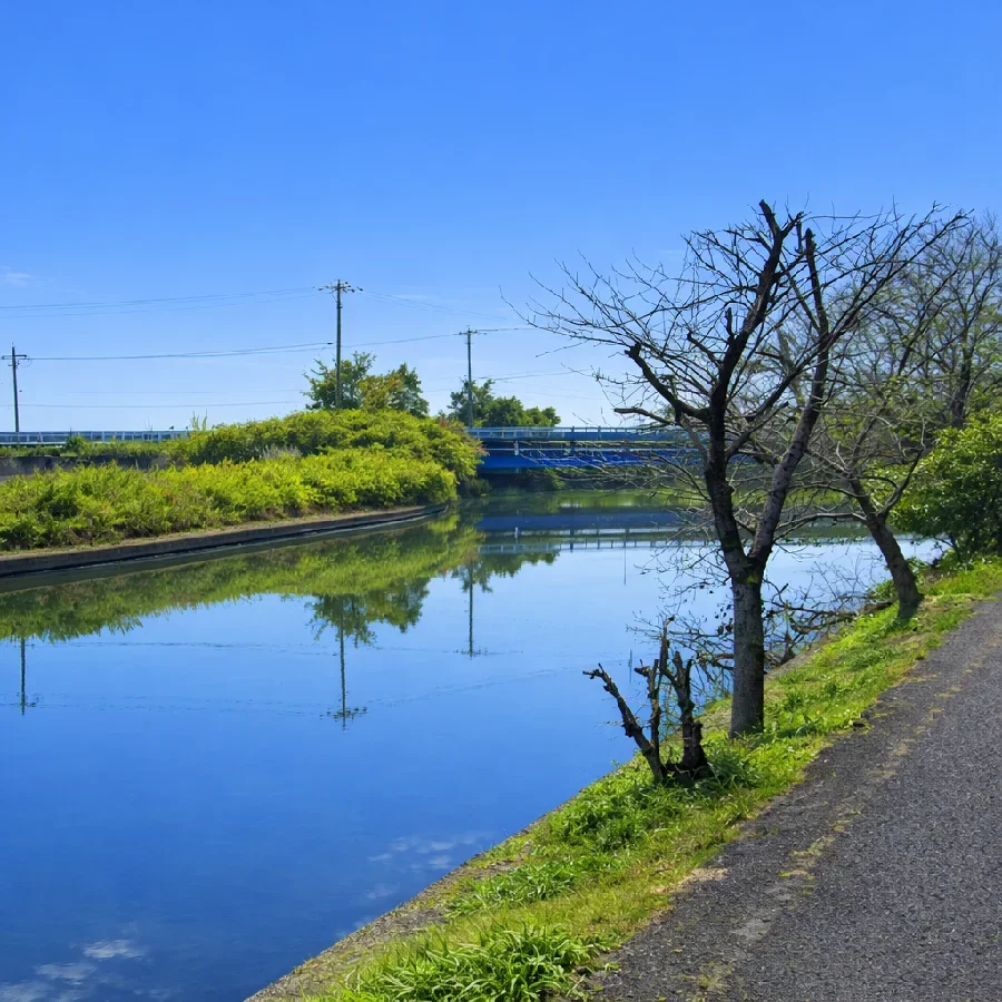 五三川ホテル裏