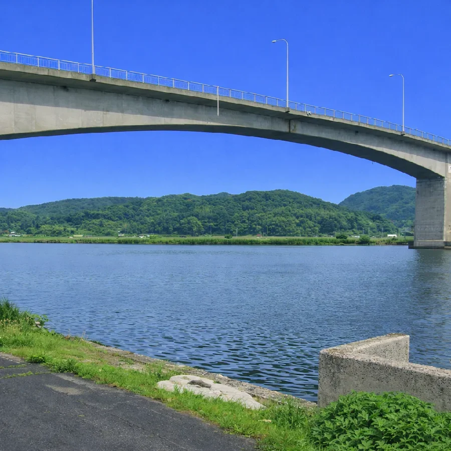 中海大橋付近