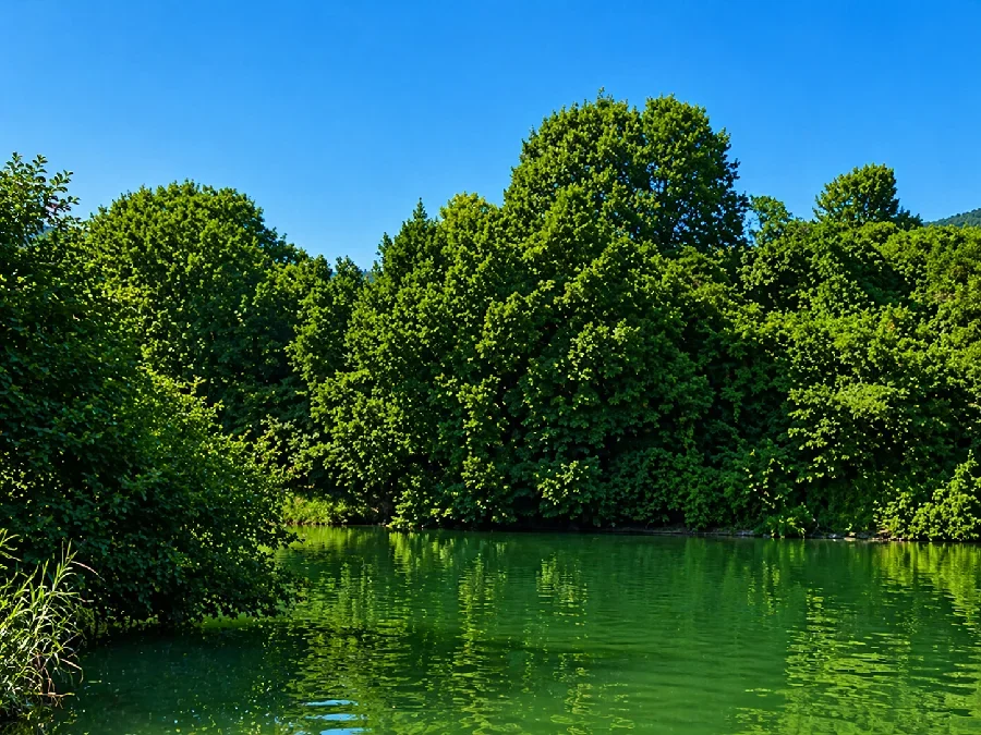 府中湖大根ワンド