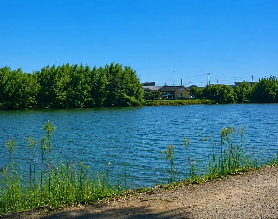 旧吉野川共栄橋付近
