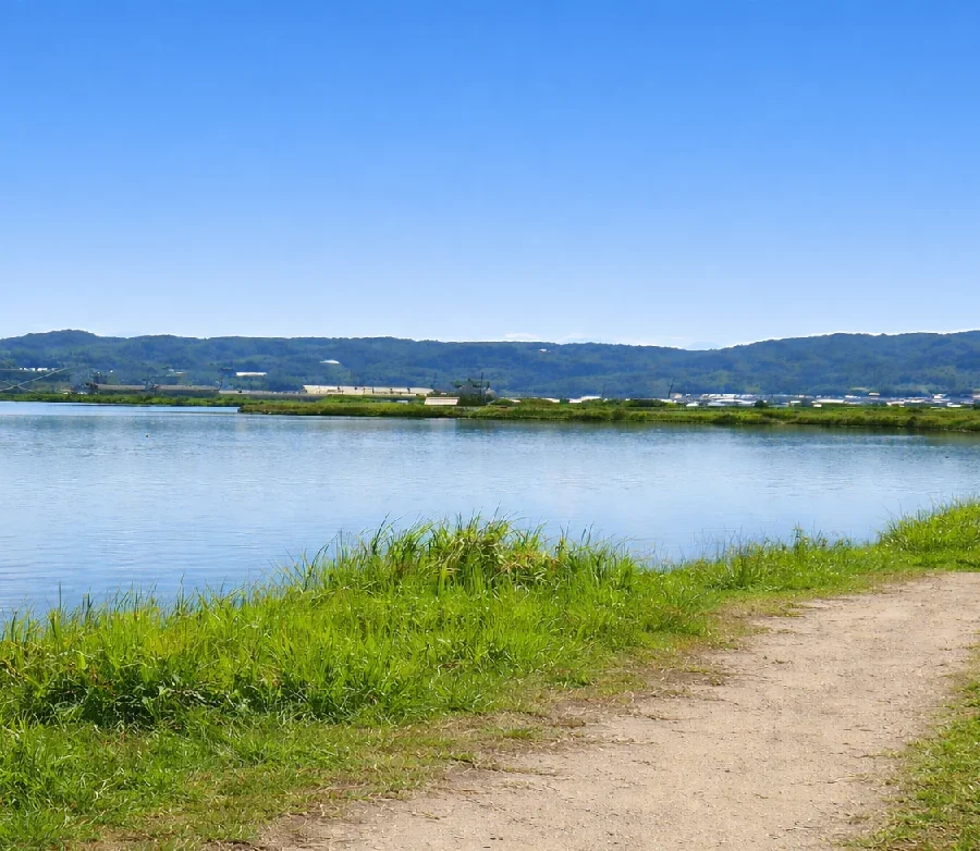 宍道湖西岸なぎさ公園付近