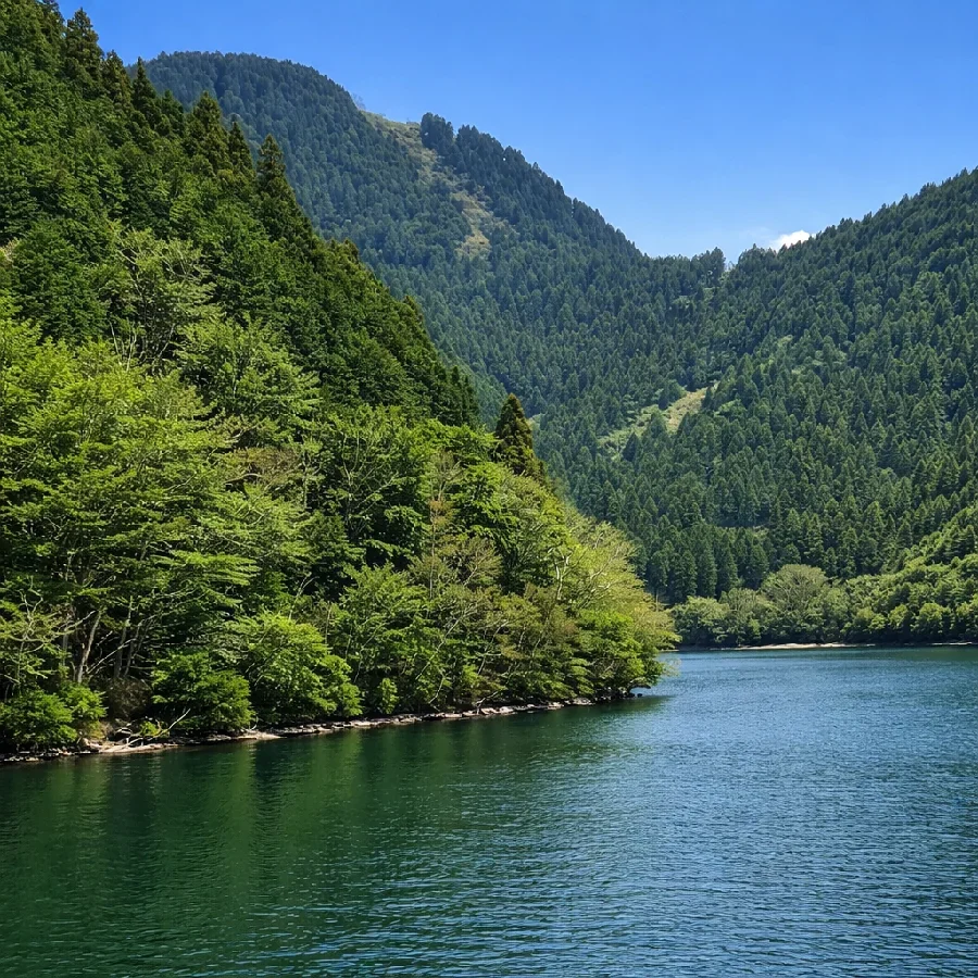 芦ノ湖小杉の鼻