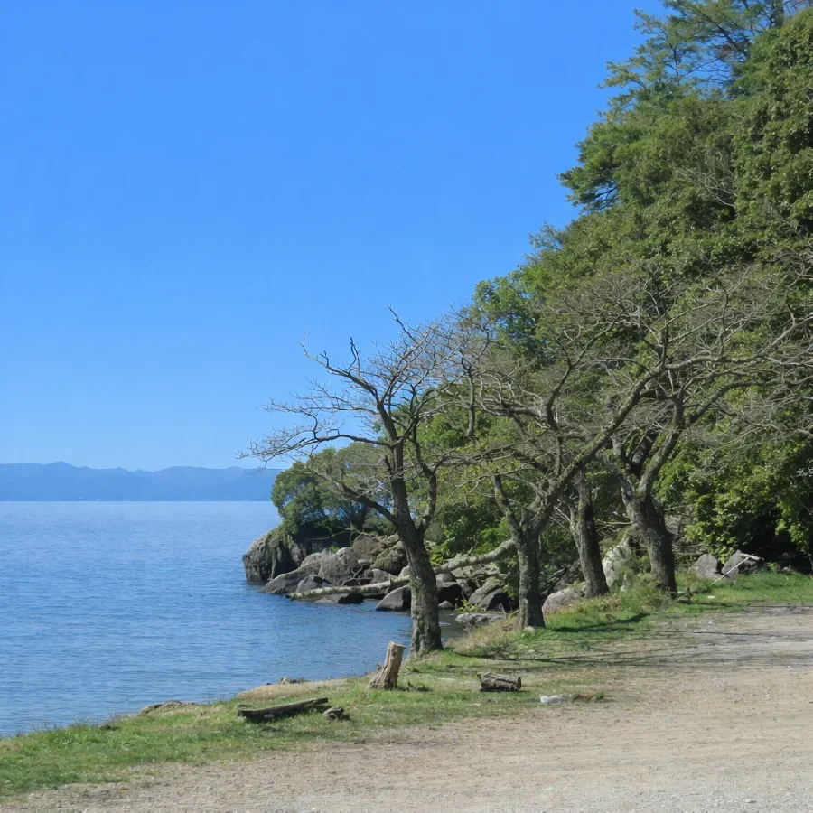 琵琶湖海津大崎付近の様子
