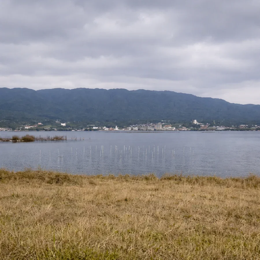 琵琶湖赤野井の様子