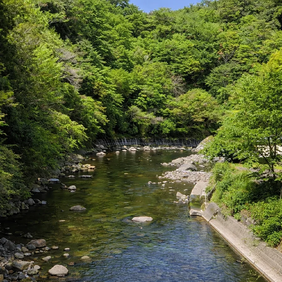 西平橋付近の狩野川