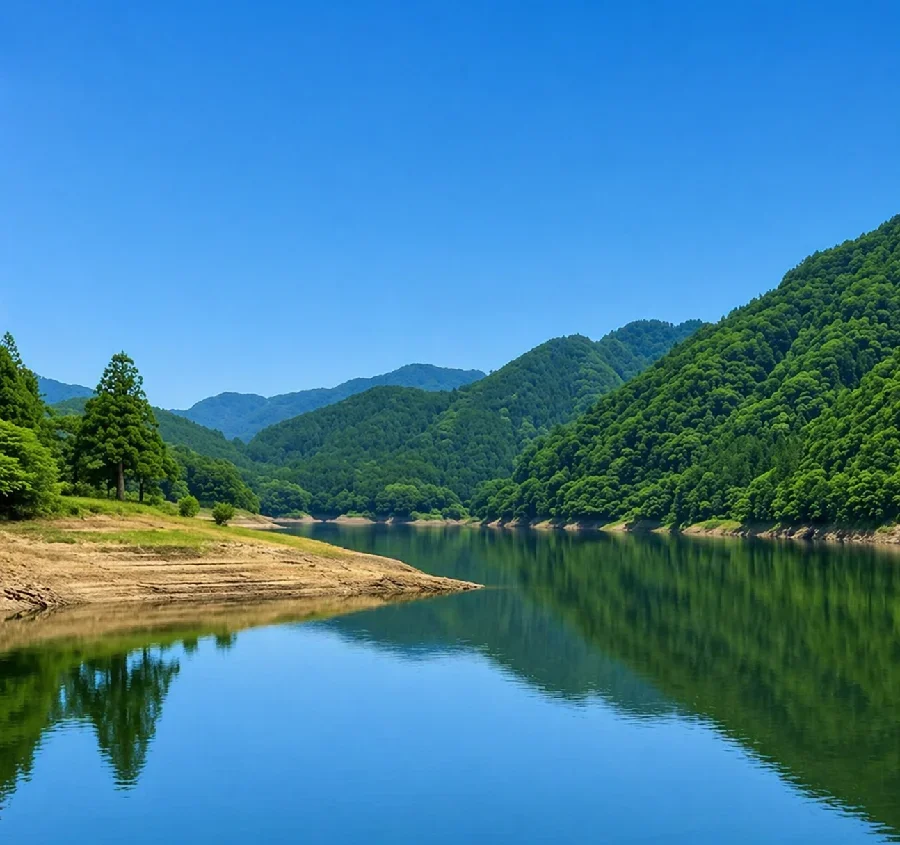 室生ダム上の島