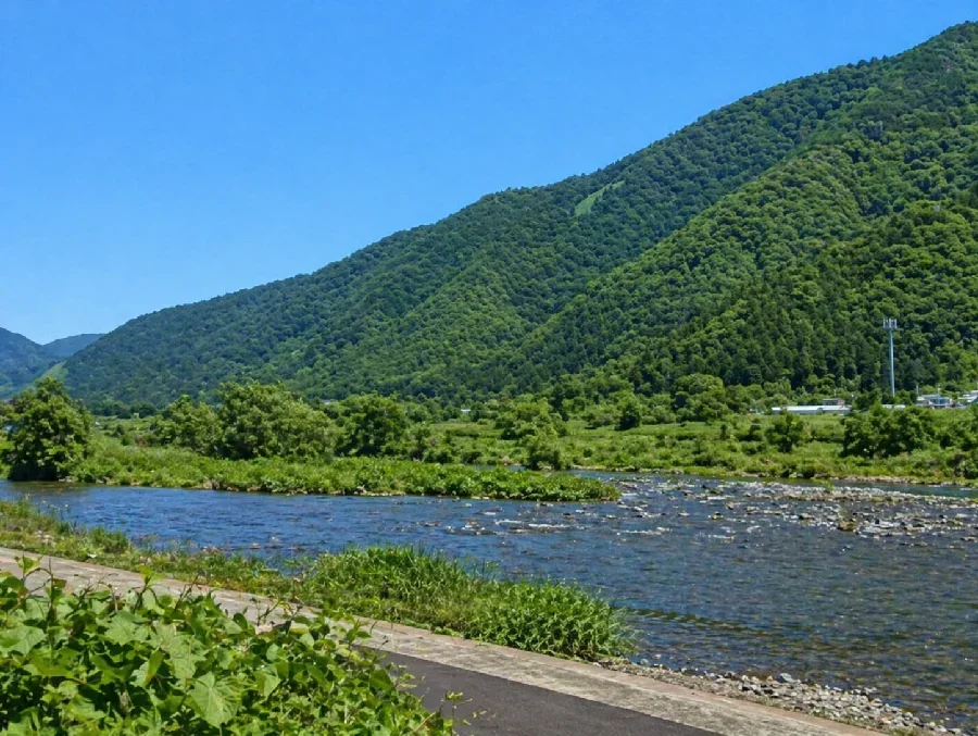 九頭竜川中島河川敷公園付近