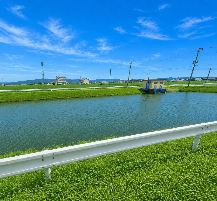 柳川クリークJA柳川西側の水路