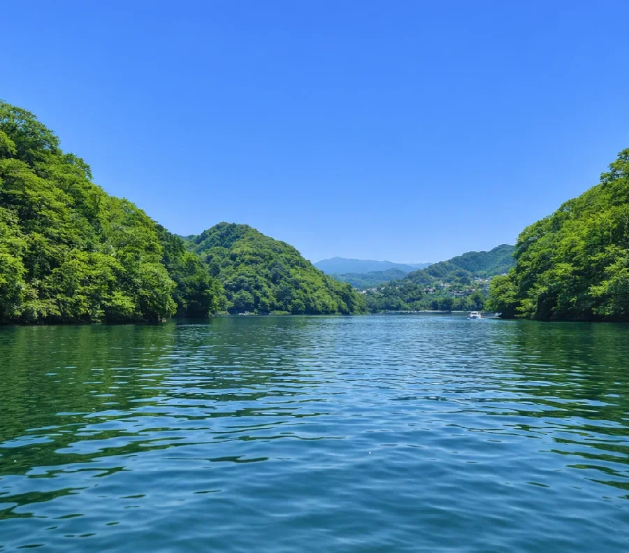 相模湖ねん坂ワンドの様子