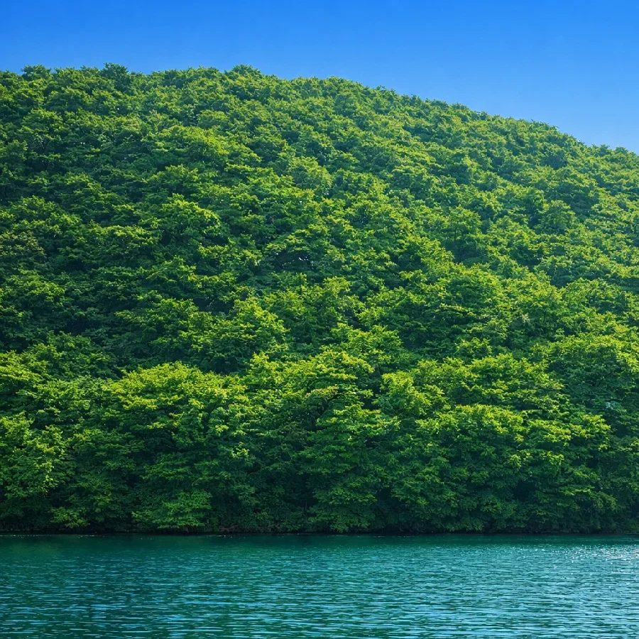 和田の角・カエル石付近の芦ノ湖