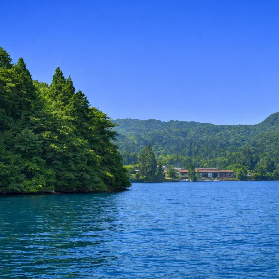 芦ノ湖塔の鼻付近の様子