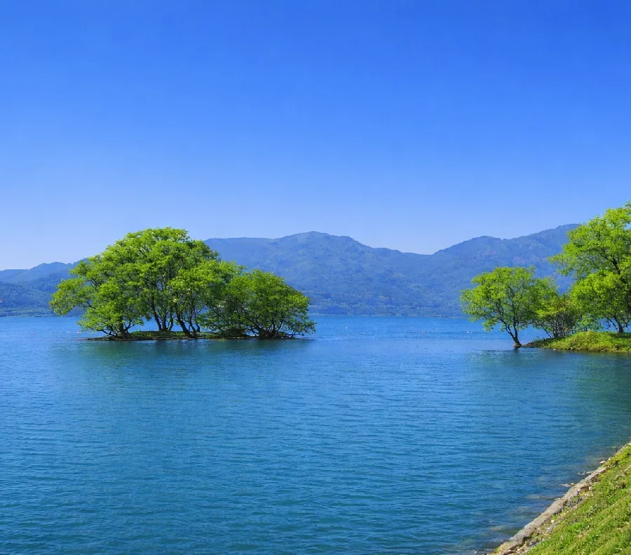 琵琶湖西野放水路河口