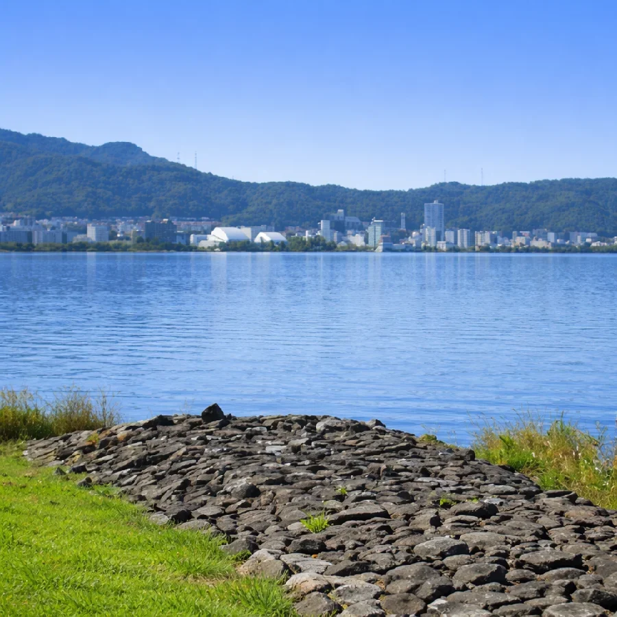 琵琶湖北山田の様子