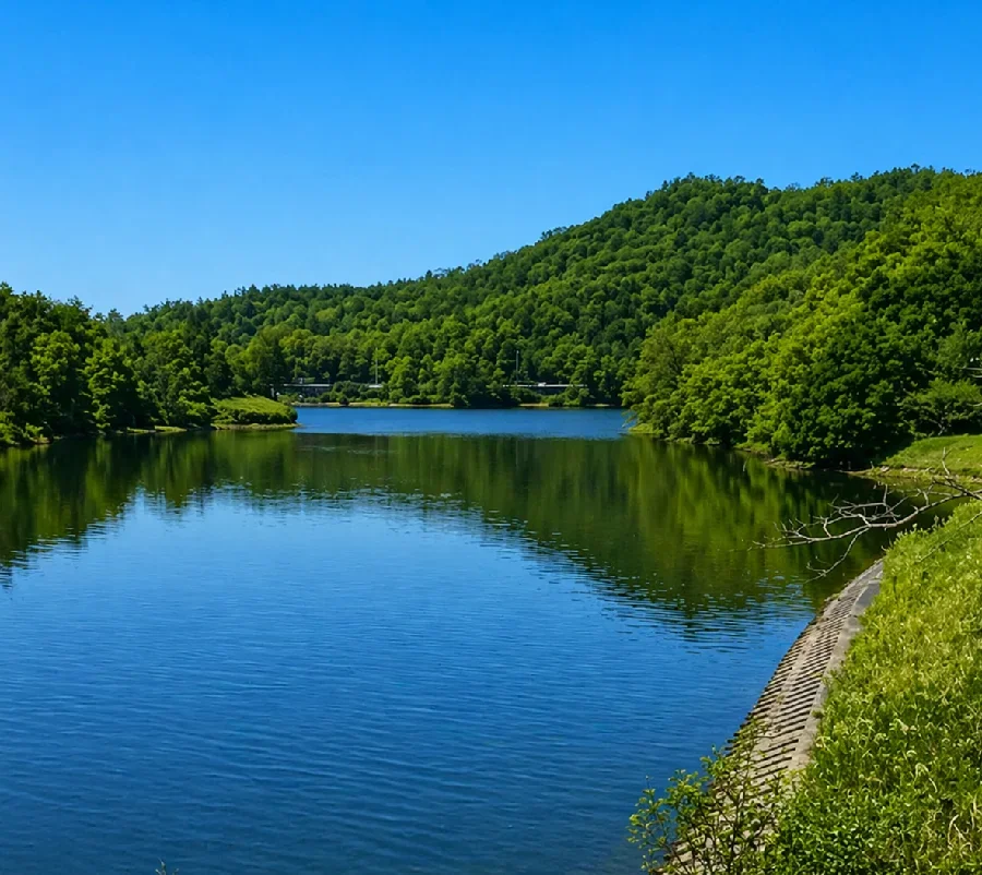 青野ダム尼寺公園付近