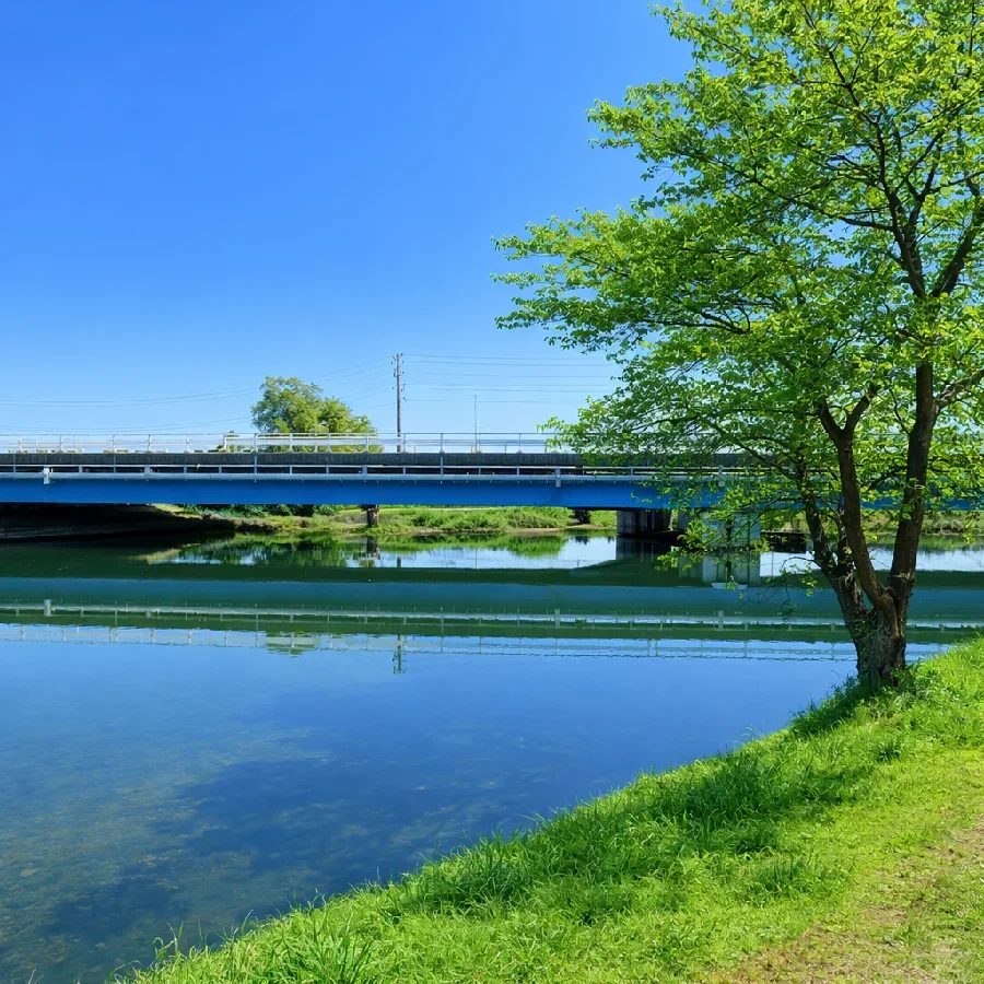 五三川橋付近
