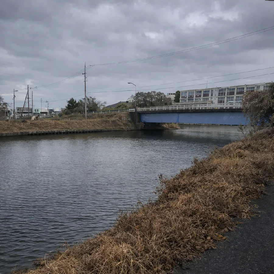 大江川橋付近