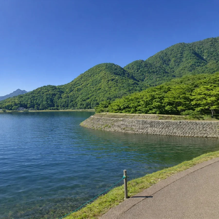 河口湖西川河口