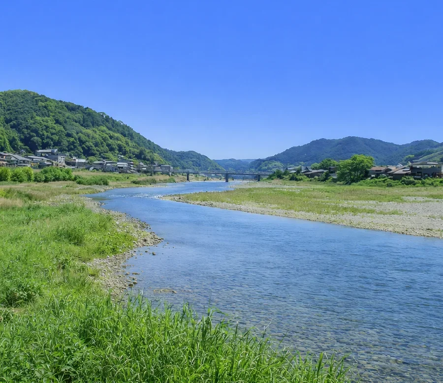吉野大橋付近