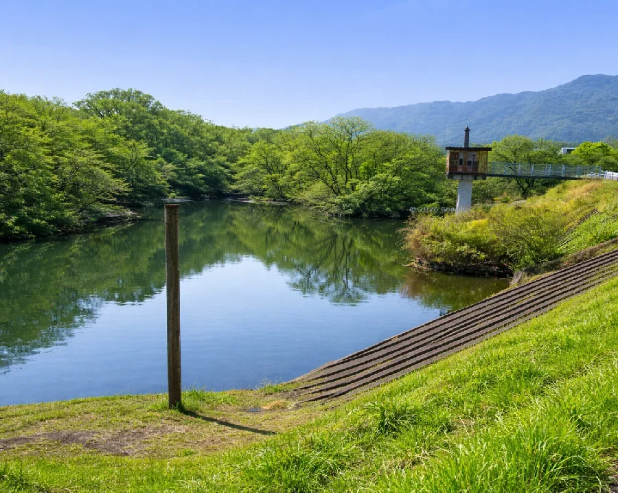 五三川津屋川合流点付近