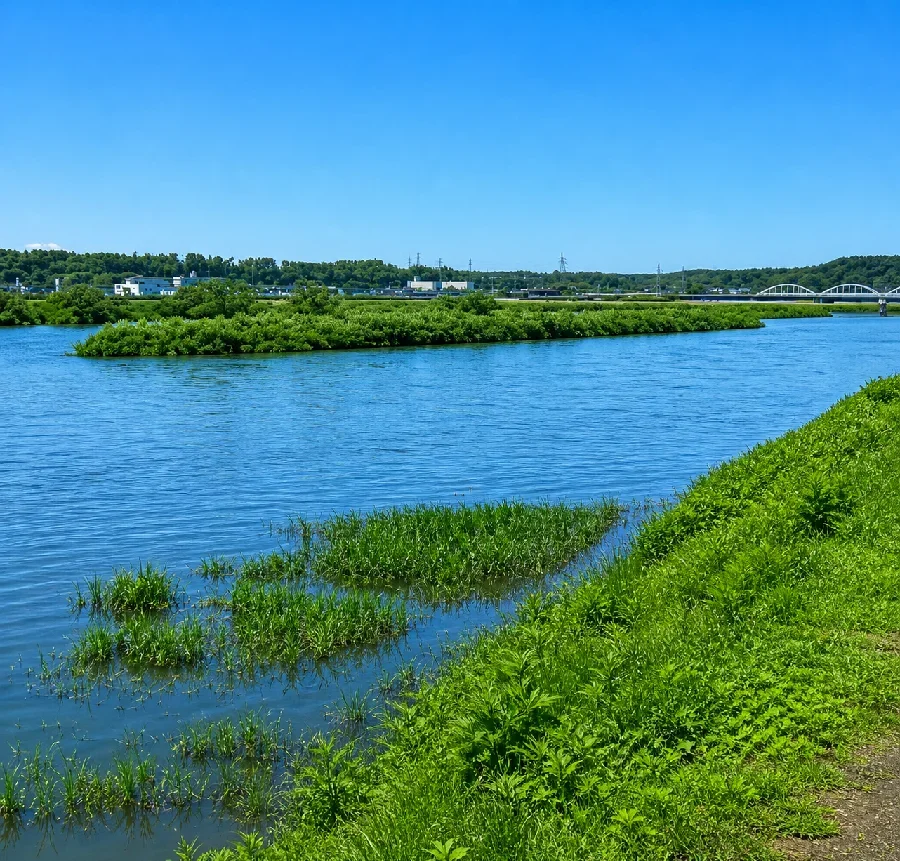 最上川白鳥大橋付近
