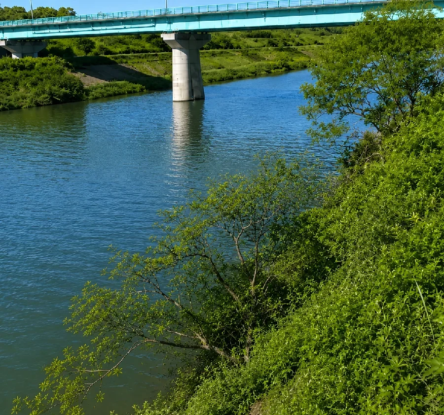 入間川入間大橋付近