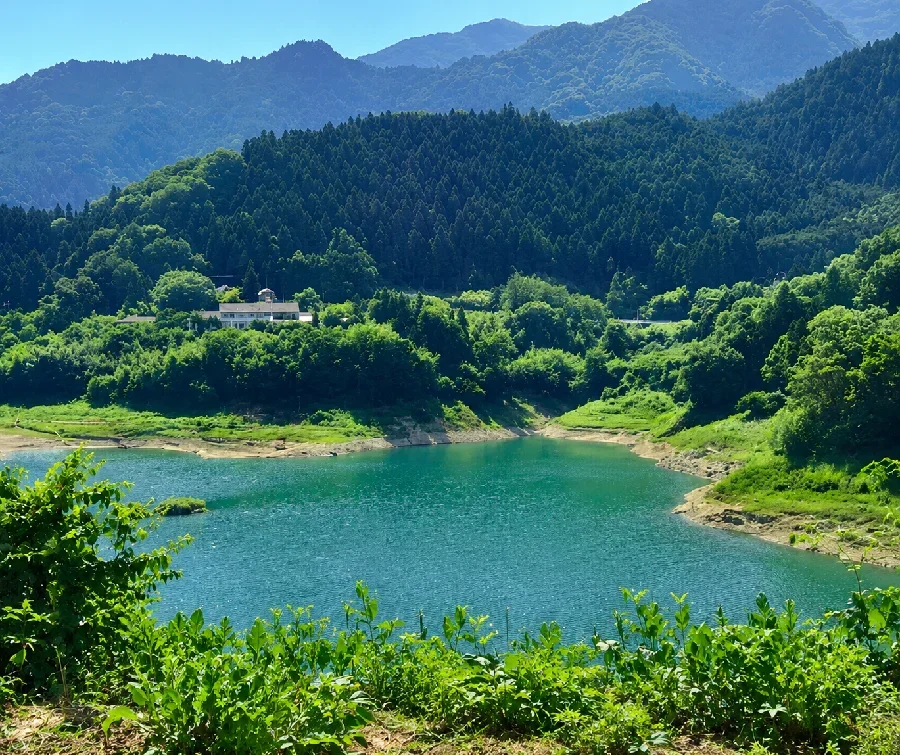 神流湖農協ワンド
