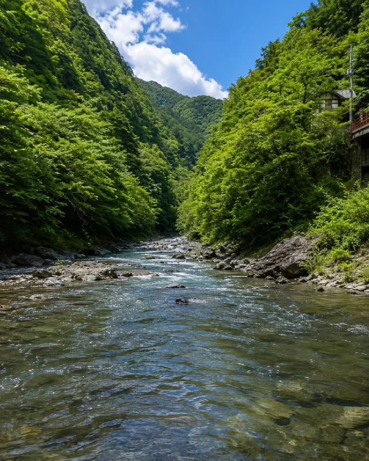 楢原橋周辺の神流川