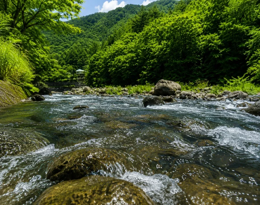 箒川七ツ岩吊橋周辺