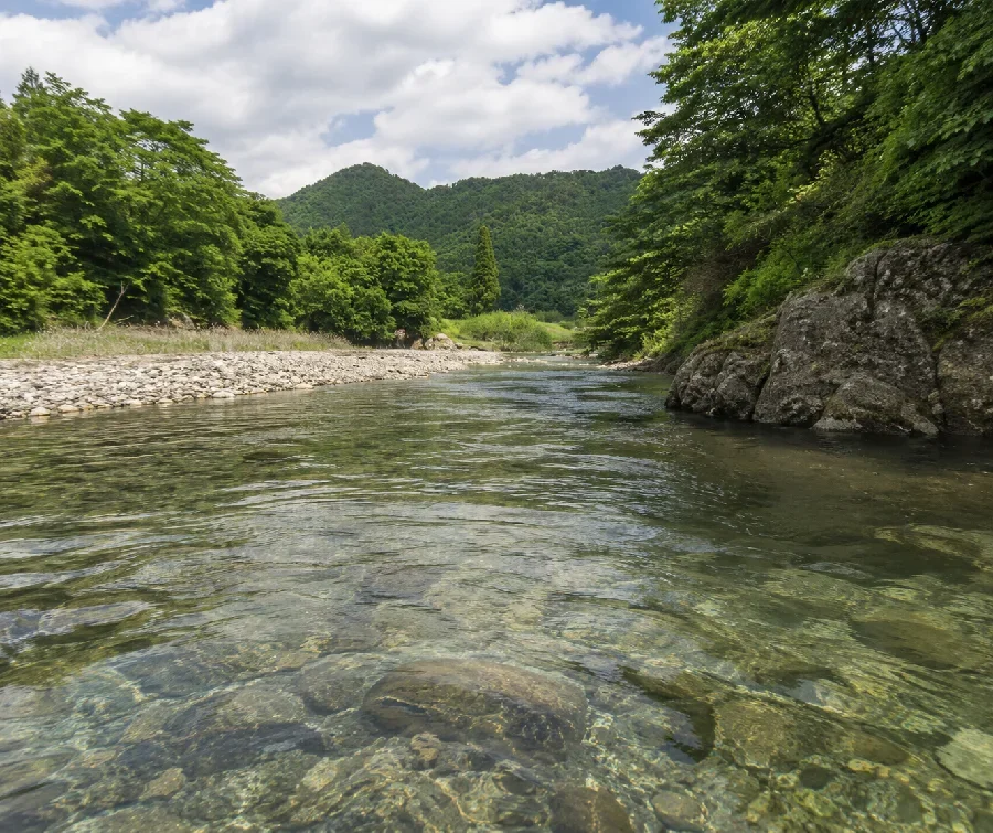 東古屋湖東古屋橋周辺