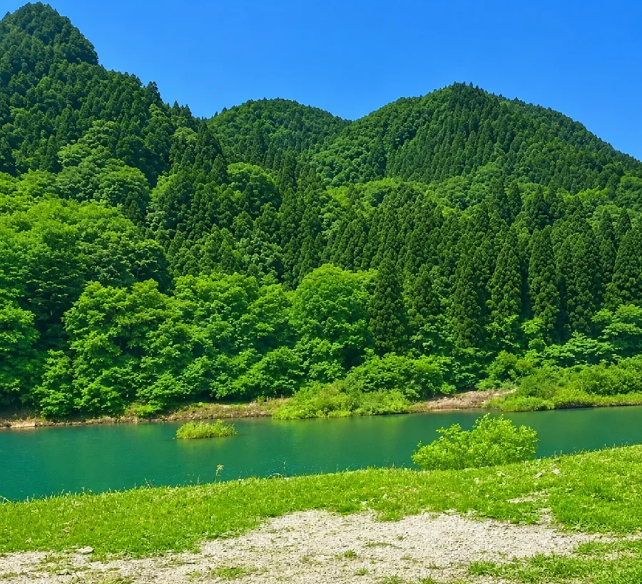 東古屋湖キャンプ場前