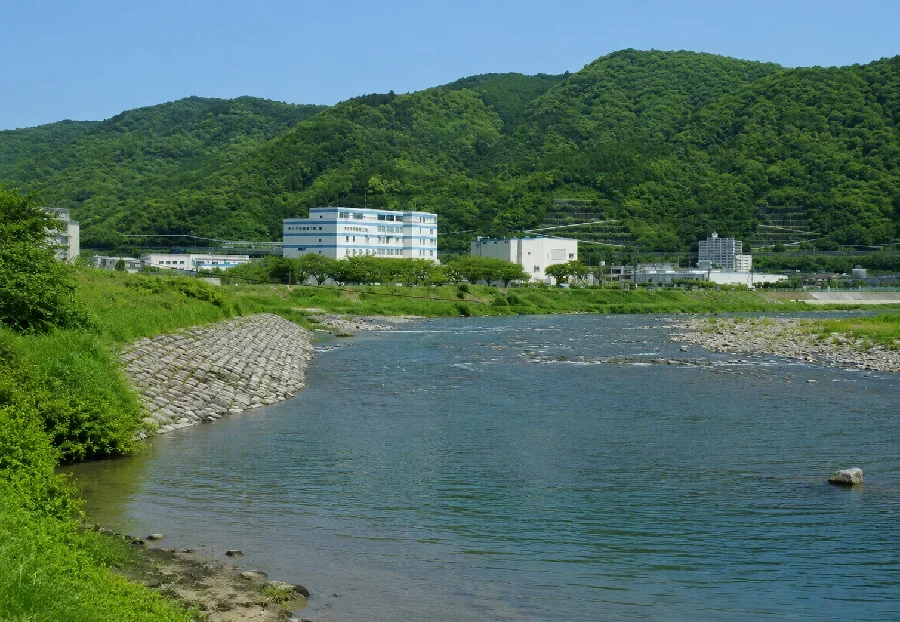 酒匂川新大口橋周辺