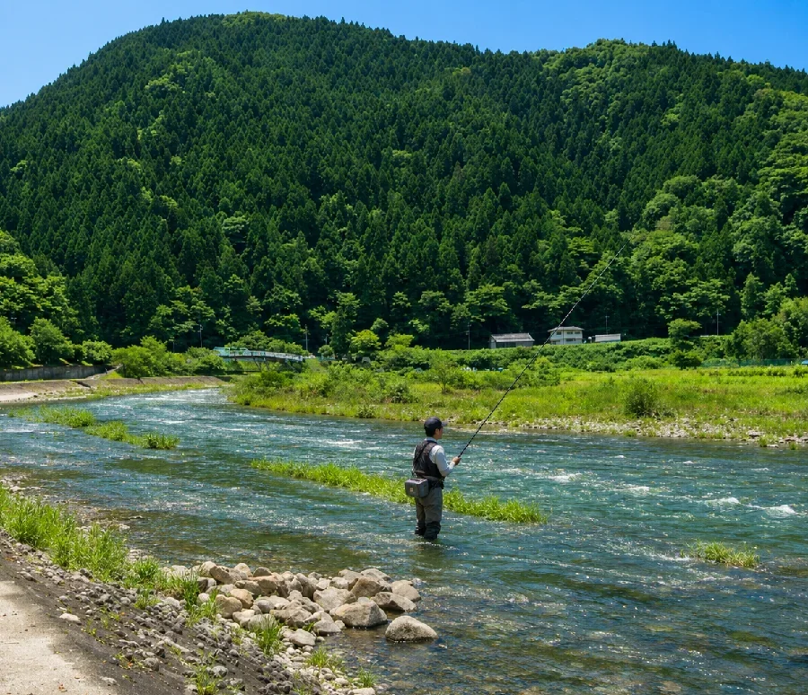 矢作川島崎公園周辺