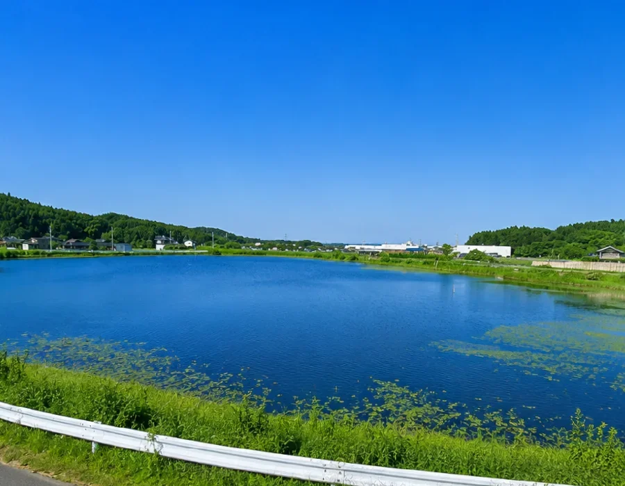 桧原大池