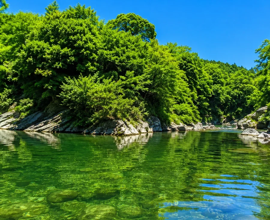 豊川・宇連川合流地点付近