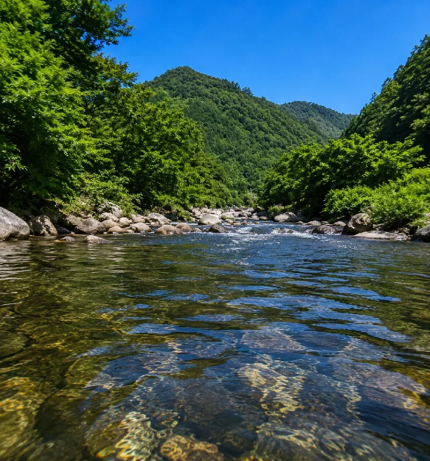 巴川神越川合流地点付近