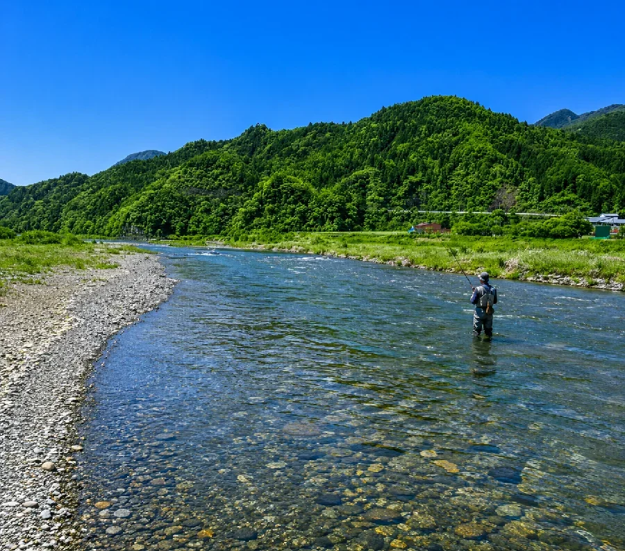 富士川南部橋周辺