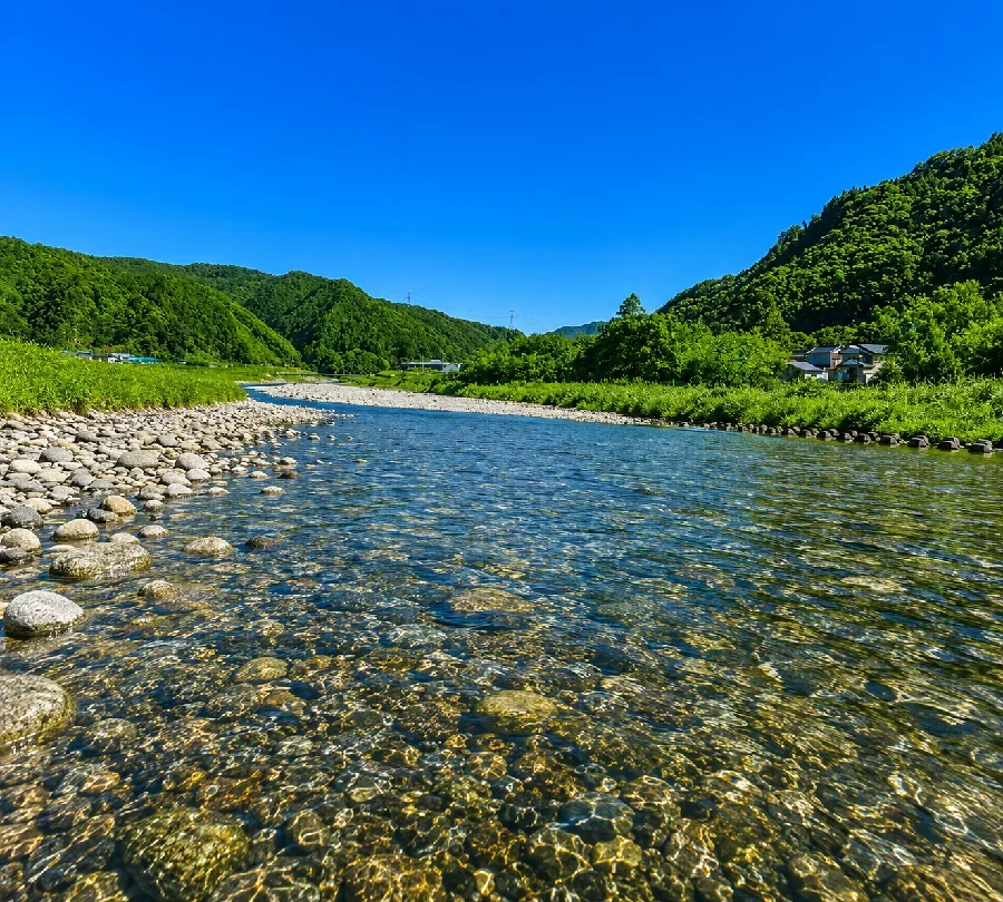 藁科川富厚里橋周辺