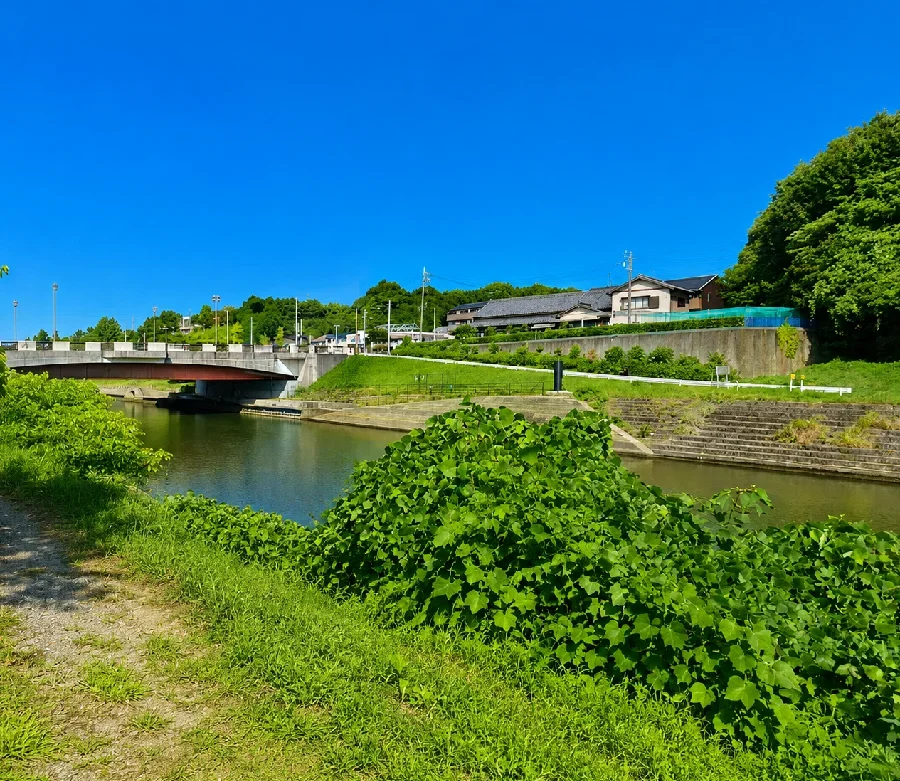 新川放水路接合部