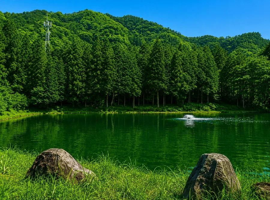 フィッシュオン鹿留鹿留湖