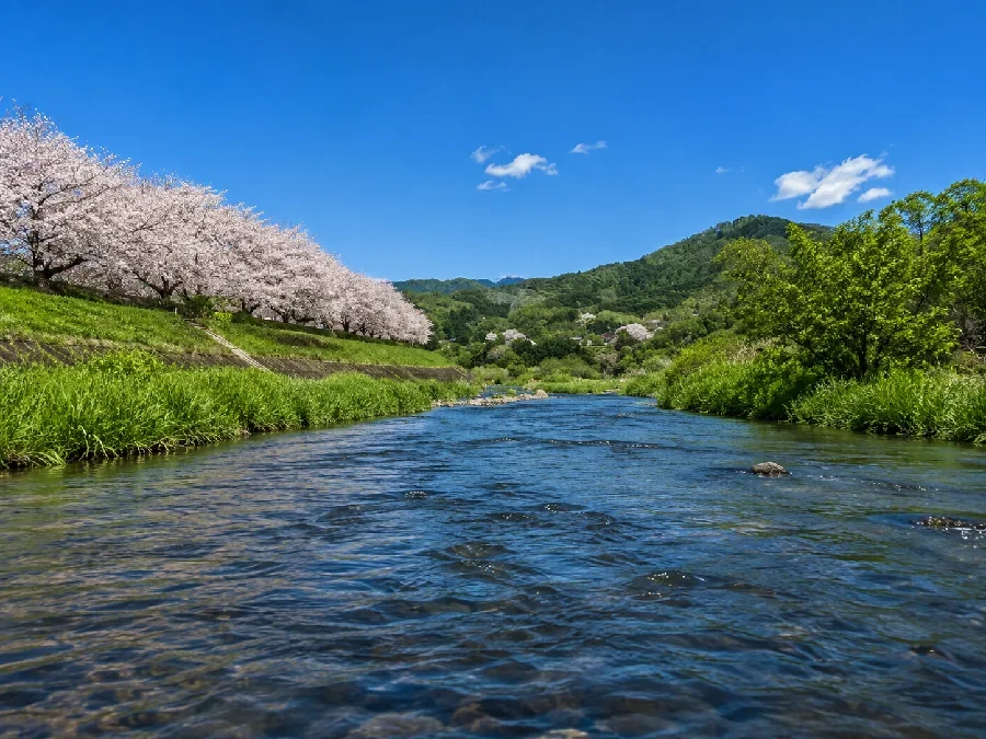 渡良瀬川相川橋周辺