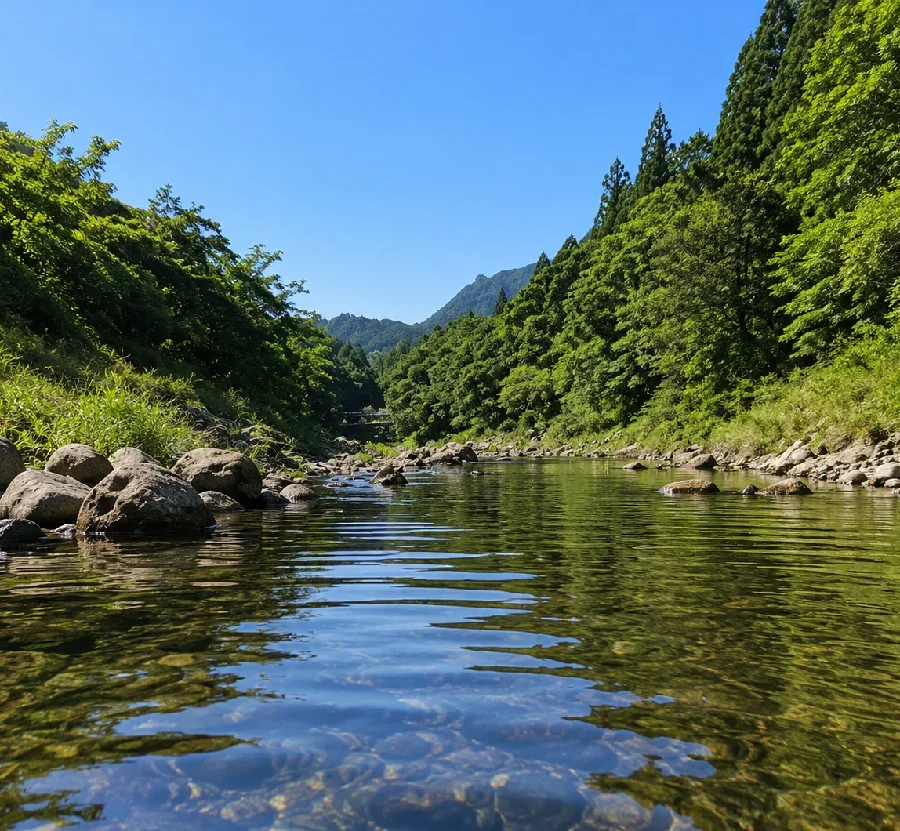 寒狭川小松橋周辺